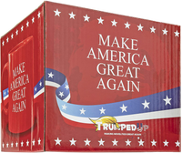 Fairly Odd Novelties’ Make America Great Again Donald Trump 2020 President Red Republican Conservative Coffee Mug Novelty